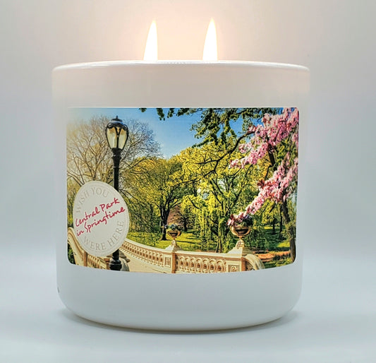 Central Park - Soy Candle Essential Oil 12 oz.